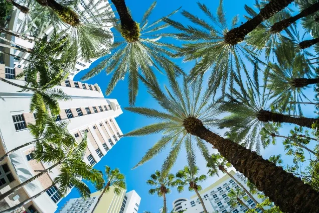 Is Now a Good Time to Buy a Home in Florida? The 2026 Market Guide